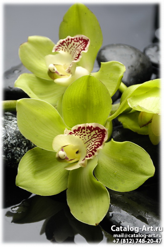 Натяжные потолки с фотопечатью - Желтые и бежевые орхидеи 27